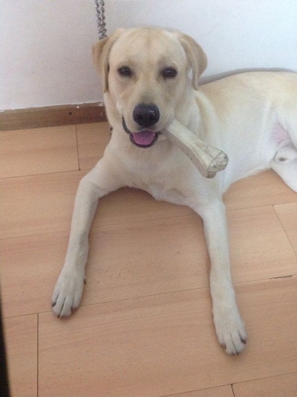 My Sasha As Winston Churchill