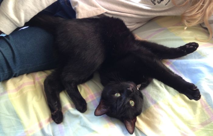 I Have No Idea How She Can Do This 🙀