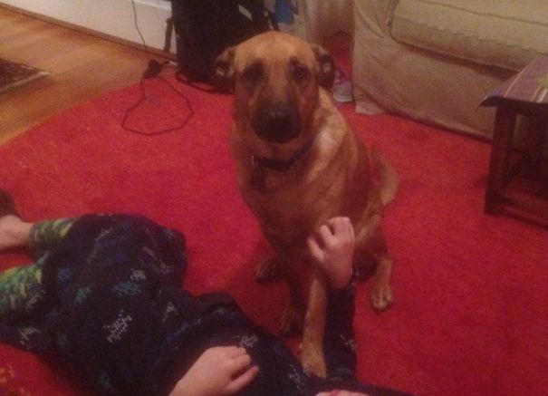 Do You Have Anything To Say About This?