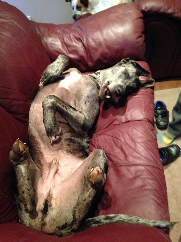 What? I'm Comfy Like This!