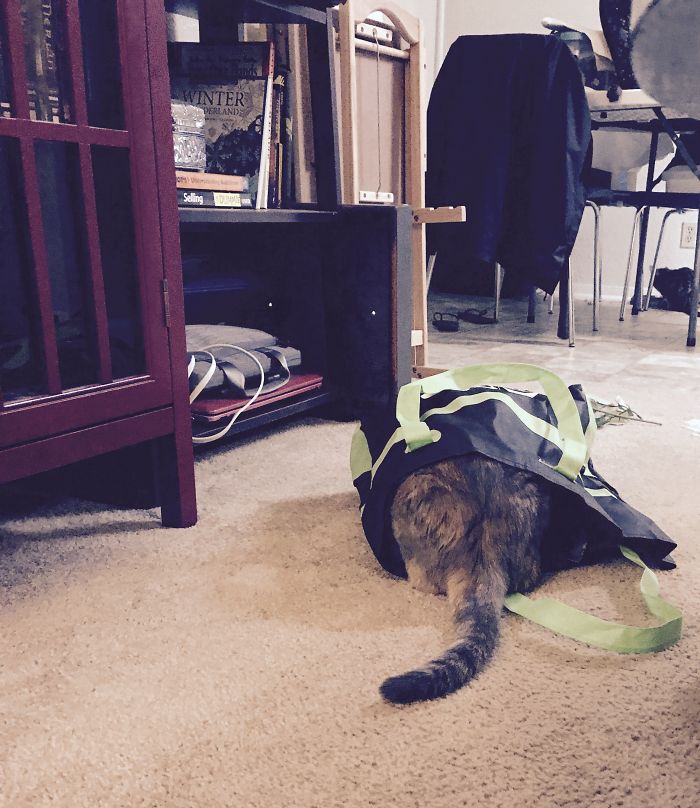 She Thinks She's All The Way Hidden....