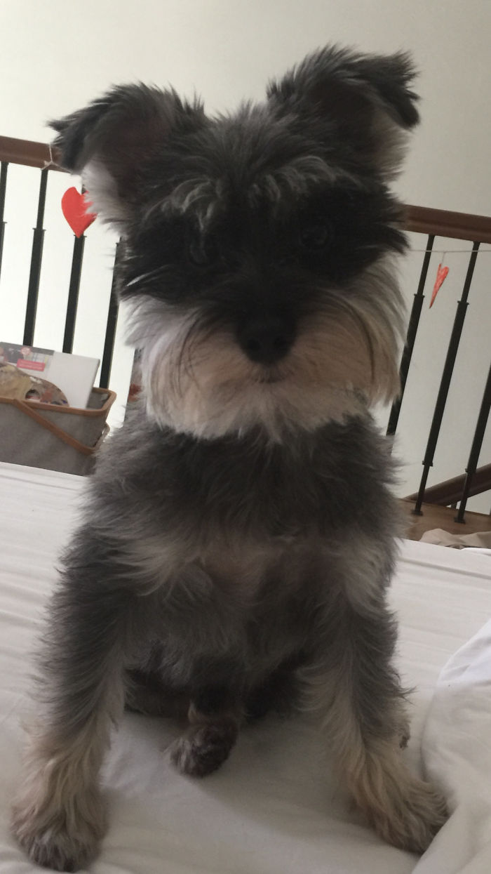 Pablo's Still A Cutie After 2 Years And A Move From U.k. To Manila! ❤️