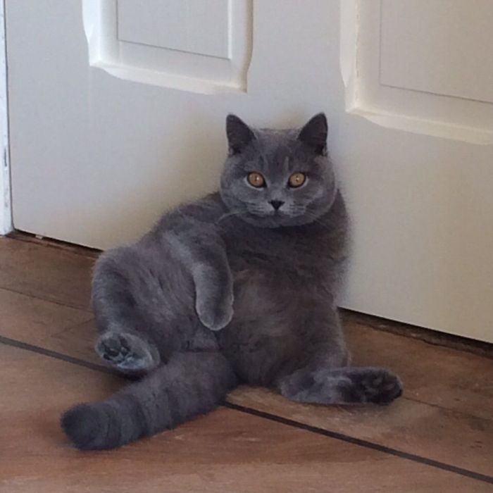 Don't Touch The Balls