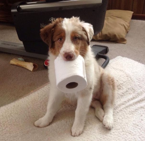 I Found This Just Lying Around.