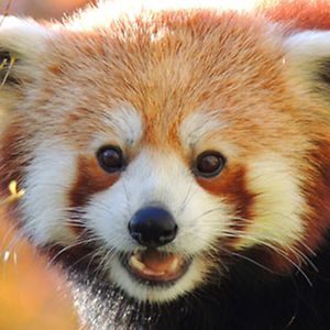 samelliott2005 avatar