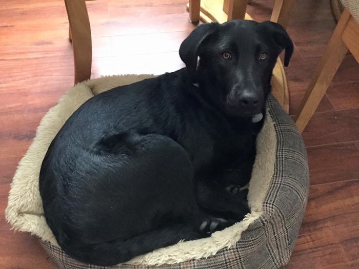 Anna - 10 Weeks To 6 Months