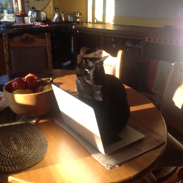 And His Name Is Ra! Egyptian Sun God