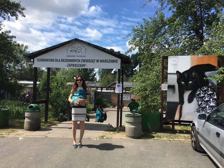 They Saved More Than 1000 Cats And Dogs Last Year They Saved More Than 1000 Cats And Dogs Last Year