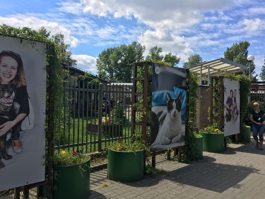 They Saved More Than 1000 Cats And Dogs Last Year They Saved More Than 1000 Cats And Dogs Last Year