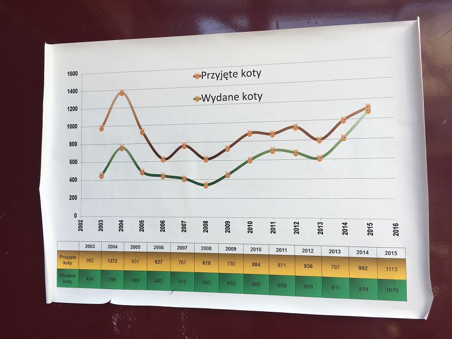 They Saved More Than 1000 Cats And Dogs Last Year They Saved More Than 1000 Cats And Dogs Last Year