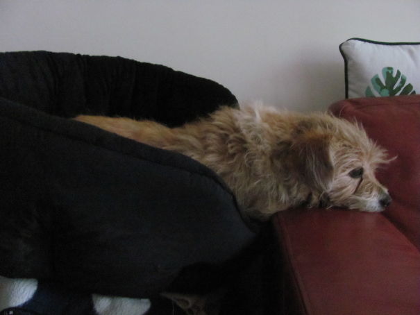 Eva: Dit Is Mijn Favoriete Houding Voor Als Ik Tv. Kijk