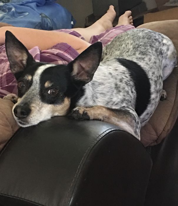 Because This Is The Most Comfortable Position...duh