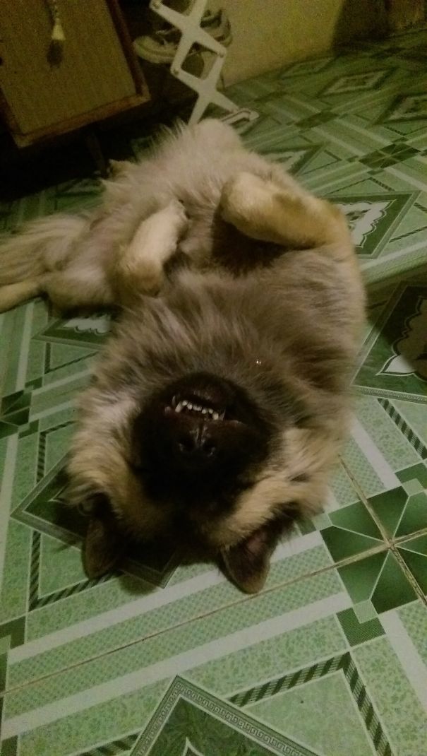 Sometimes, Sleeping At Normal Position Is So Mainstream