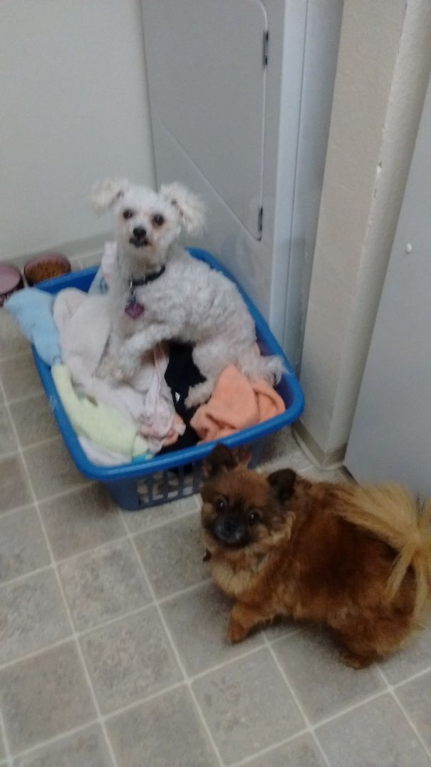 Clean, Dirty, Doesn't Matter To Her... Clothes In Reach Will Be Fuzzified.