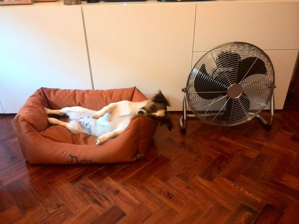 Turn The Fan On, Please!!!