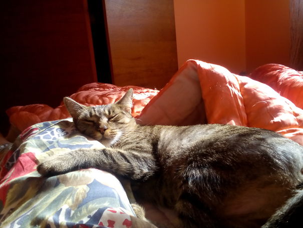 O Human.. I Love You.. And I Love The Sun, But I Love You More Than The Sun.. ----( I Hope She Is Thinking This Because That`s My Leg There)