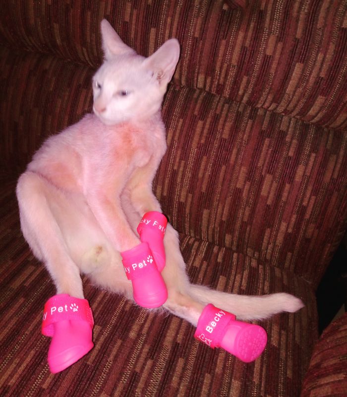 When Everyone Thinks You're A Pink Kangaroo.