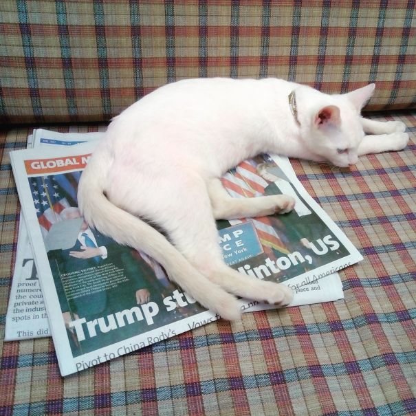 You Call This A "menu"?