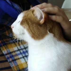 catherinewaite avatar