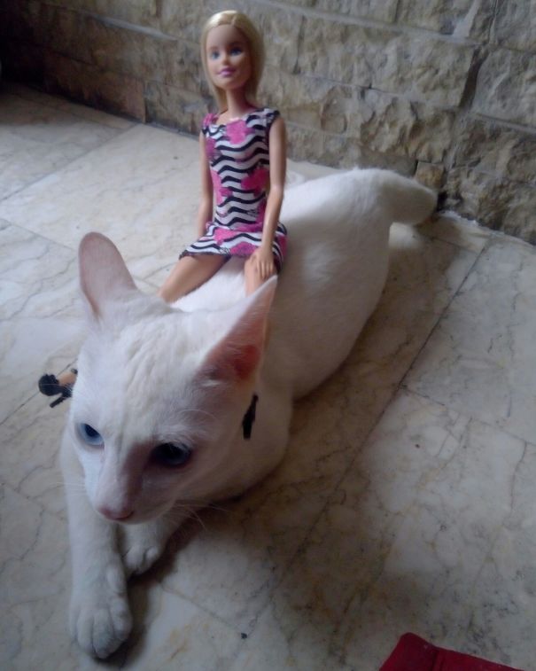 Weird, Weird Ride Indeed!