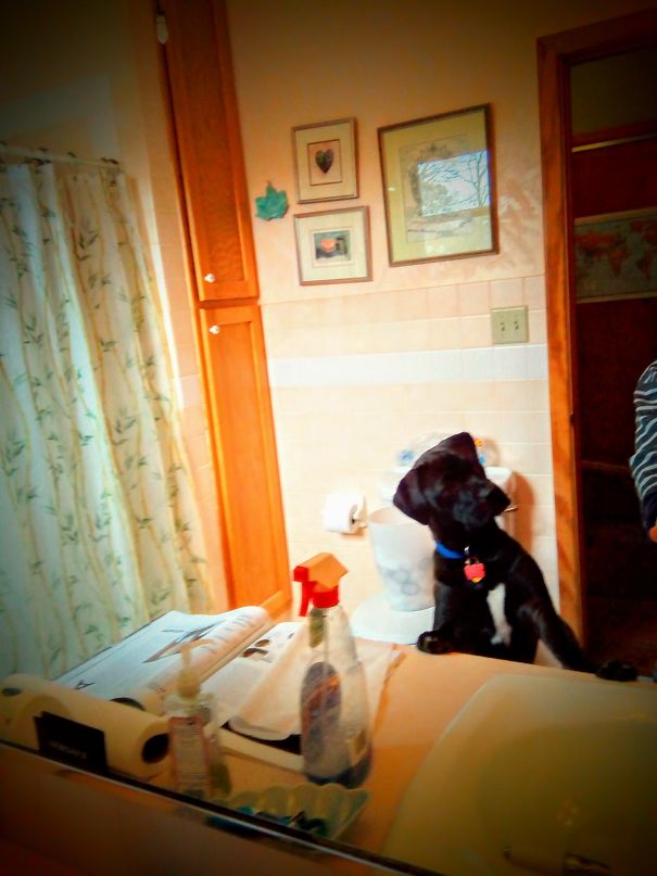 Hank Stands Next To Me At The Counter While I Brush My Teeth...