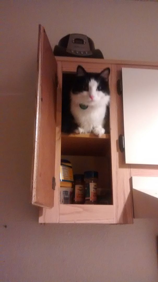 So High, He Forgot How To Gravity