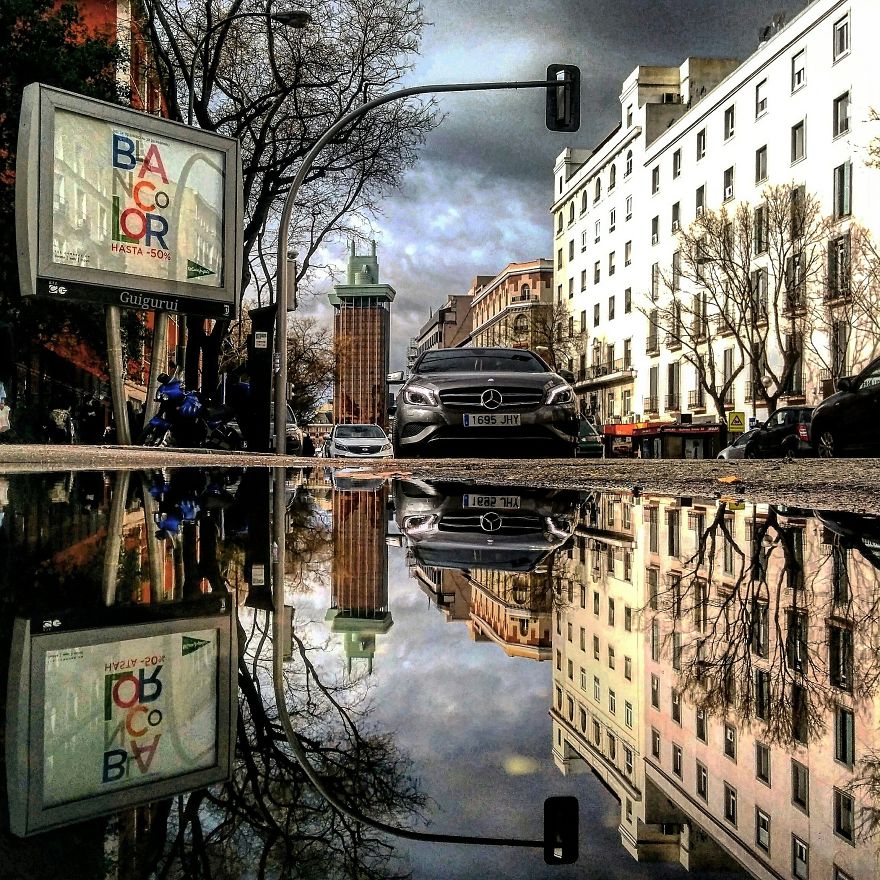 Puddle, Puddle, On The Ground, Who Is The Fairest One Of All? Puddle, Puddle, On The Ground, Who Is The Fairest One Of All?