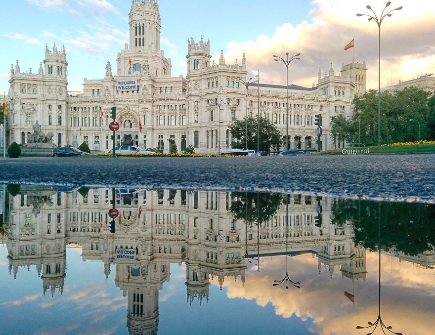 Puddle, Puddle, On The Ground, Who Is The Fairest One Of All? Puddle, Puddle, On The Ground, Who Is The Fairest One Of All?