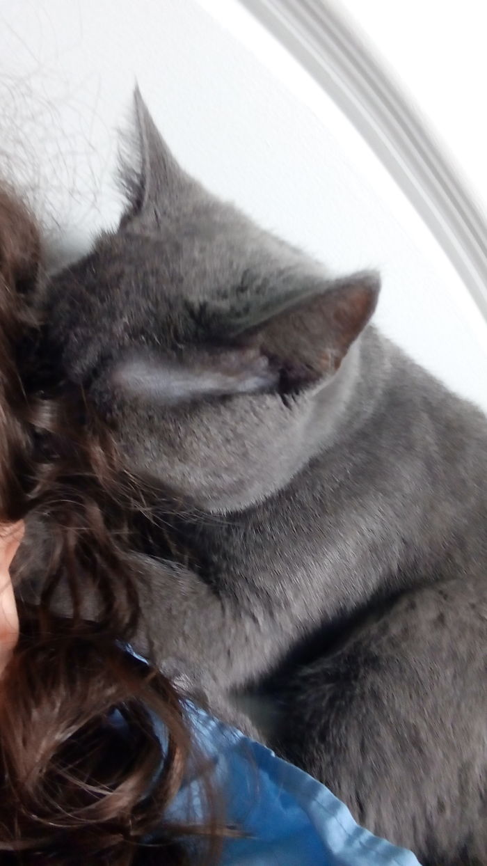 Whenever I Lay In Bed, He Sniffs My Hair And Massages It