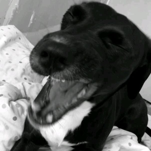 Somethings Funny. Wish She Would Tell Me What