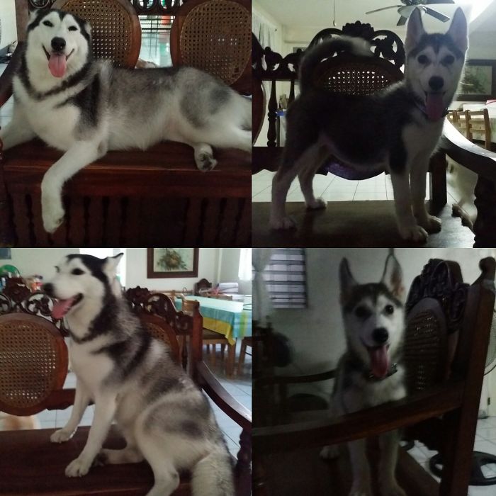 2 Yrs Old Now Vs. 2 Months Old Before