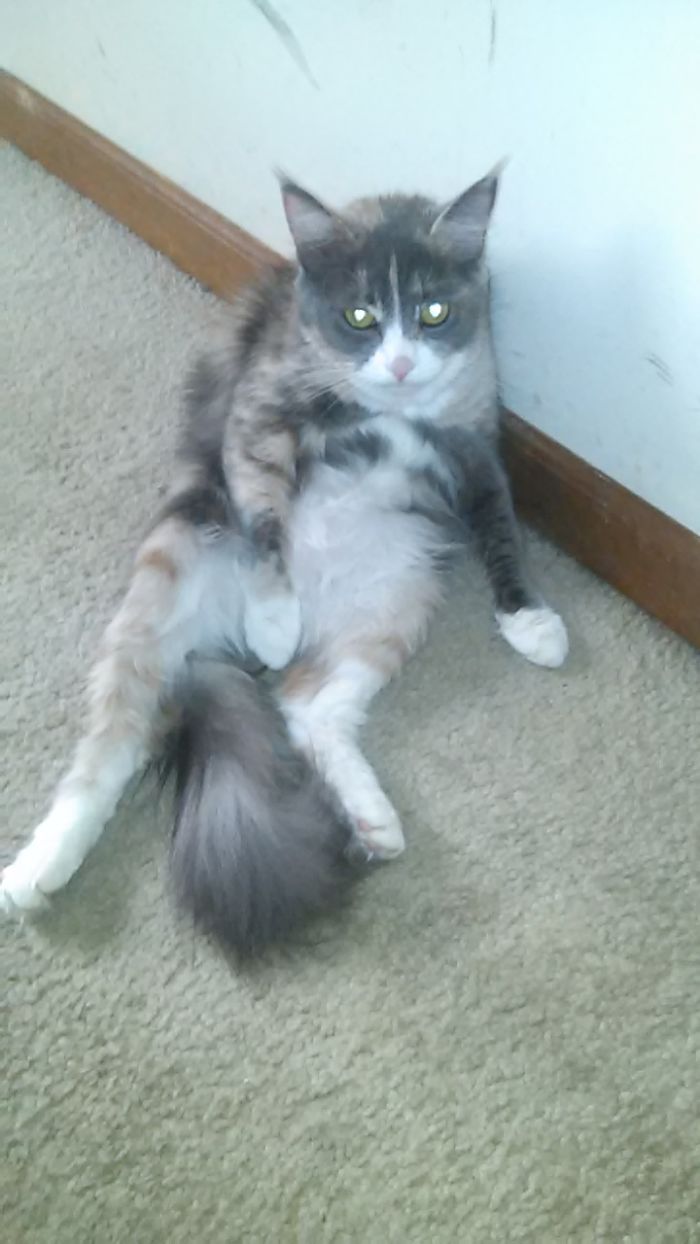 Just Sittin' Here Chillin'