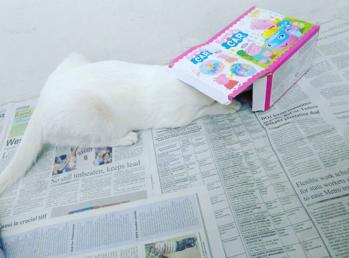 When You Can't Find What You're Looking For.