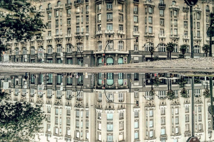 Puddle, Puddle, On The Ground, Who Is The Fairest One Of All? Puddle, Puddle, On The Ground, Who Is The Fairest One Of All?