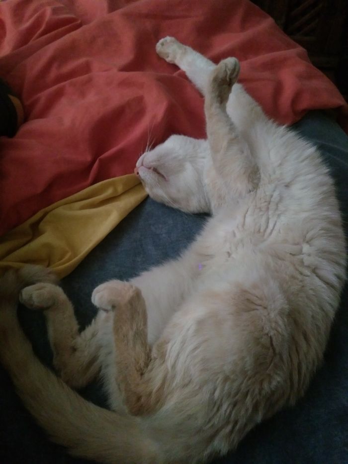 He Always Sleeps Like This.