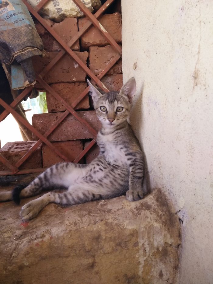 "i Want You To Draw Me Like One Of Your French Girls."