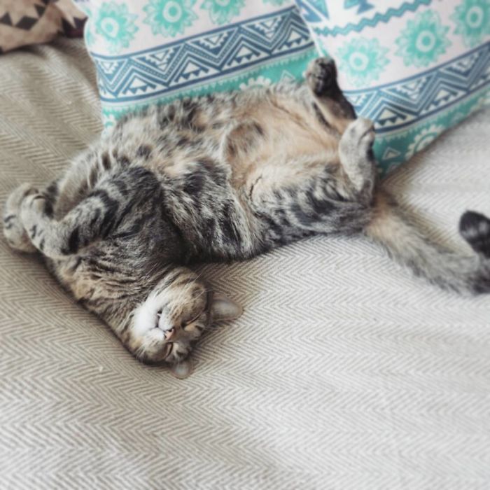 Love Sleeping Like This