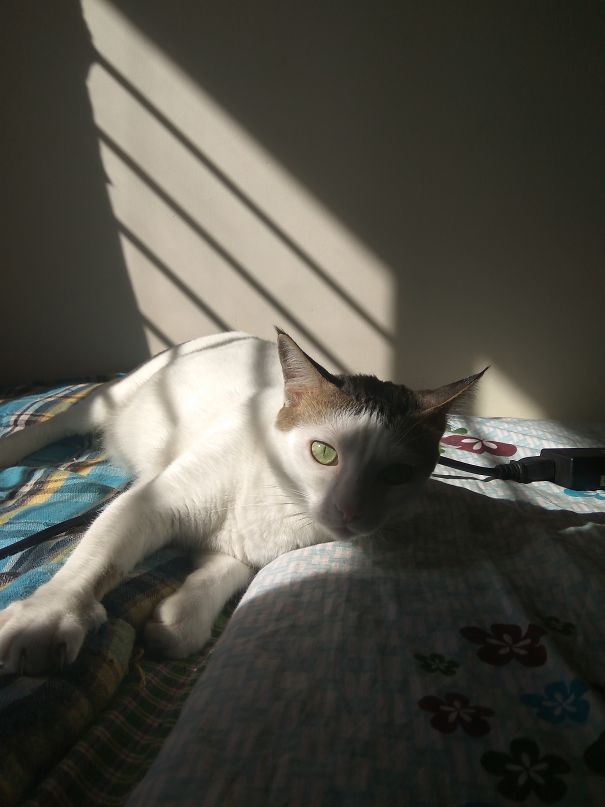 Three-year Old Exhibit A Is A Serious Basker.