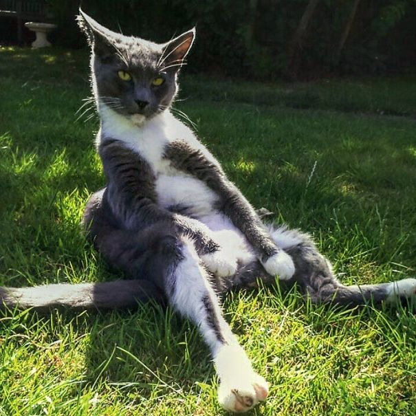 Erik Lounging In The Garden