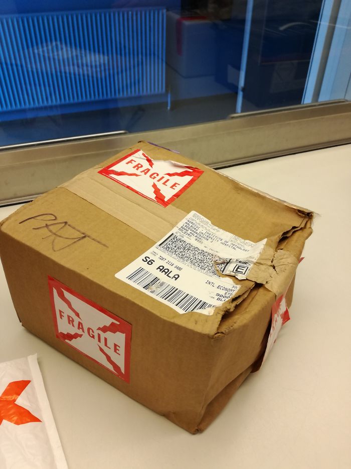 Didn't See The Fragile-signs???