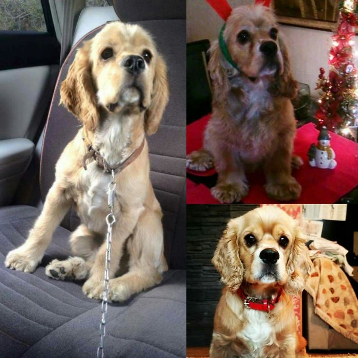 My Baby Boy Bobby : 8 Months, 18 Months And 28 Months