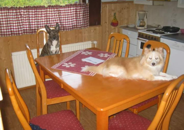 I Can Only Imagine What They Were Doing Before...