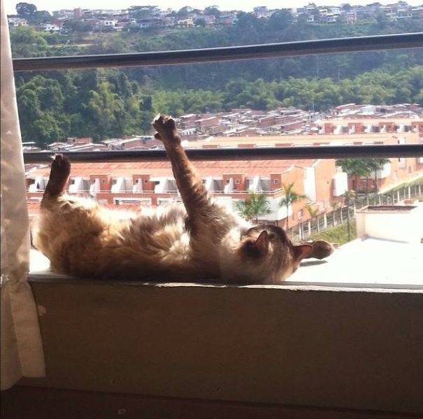 Jazz Hugging The Sun