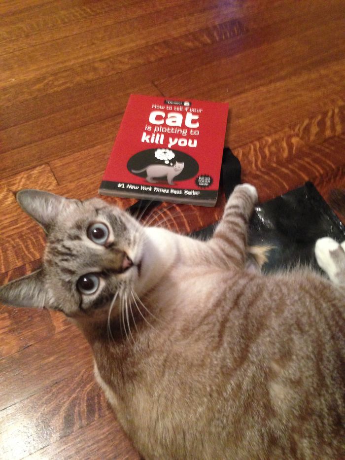 Reading Sinister Books ...