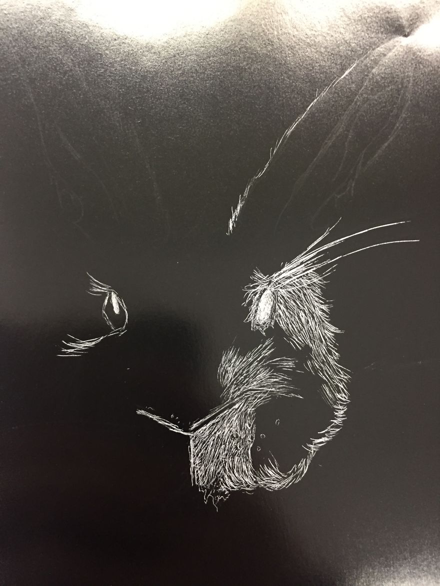 Watership Down Rabbit (Progress)