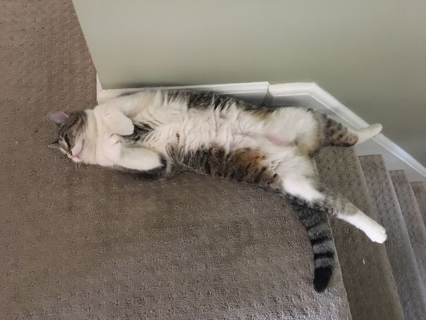 At Least She Made It To The Top...