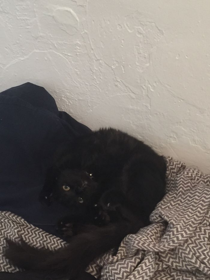 She Stayed In This Position For 20 Minutes