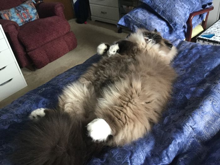 This Guy Takes Comfort To A New Dimension