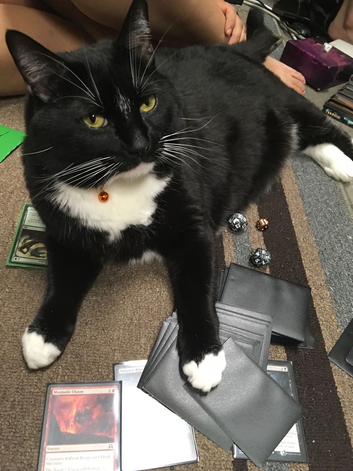 It's All About Him, Always.