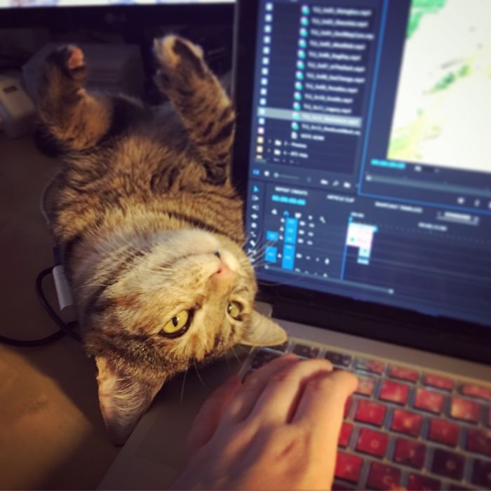 Draw Me Like Your French Girls, Jack!